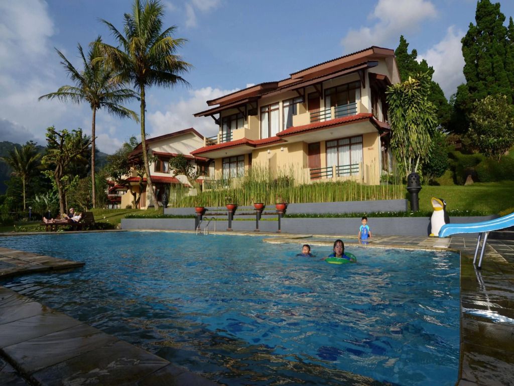 حوض السباحة