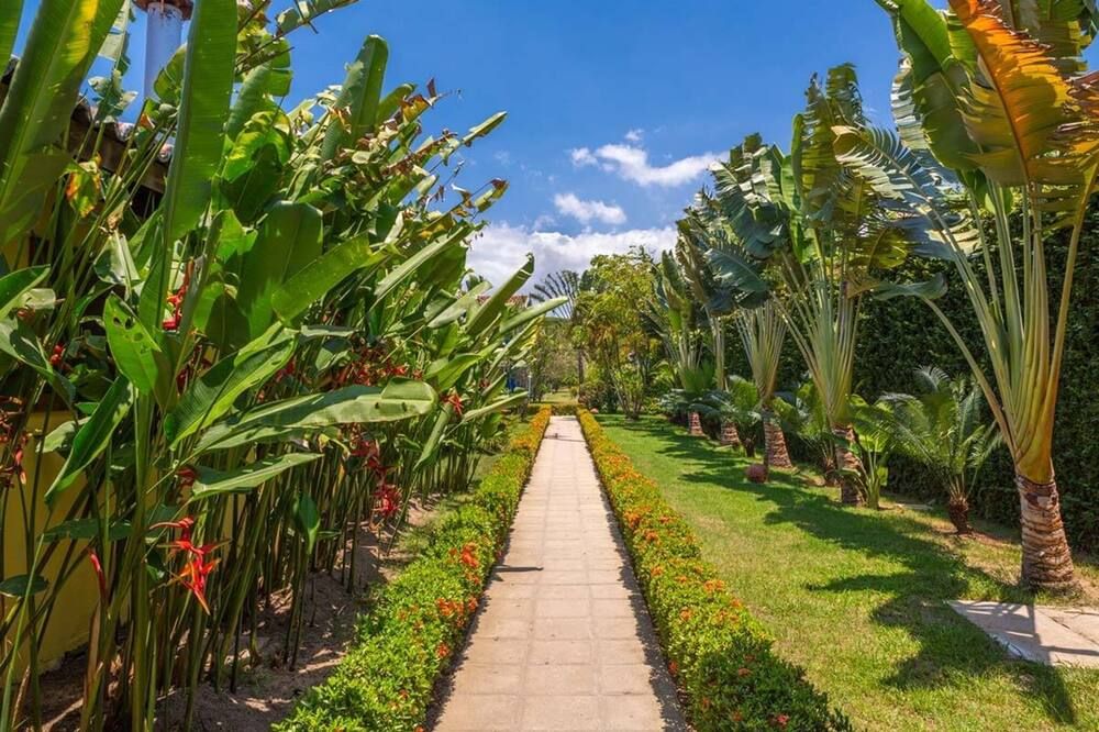 المظهر الخارجي