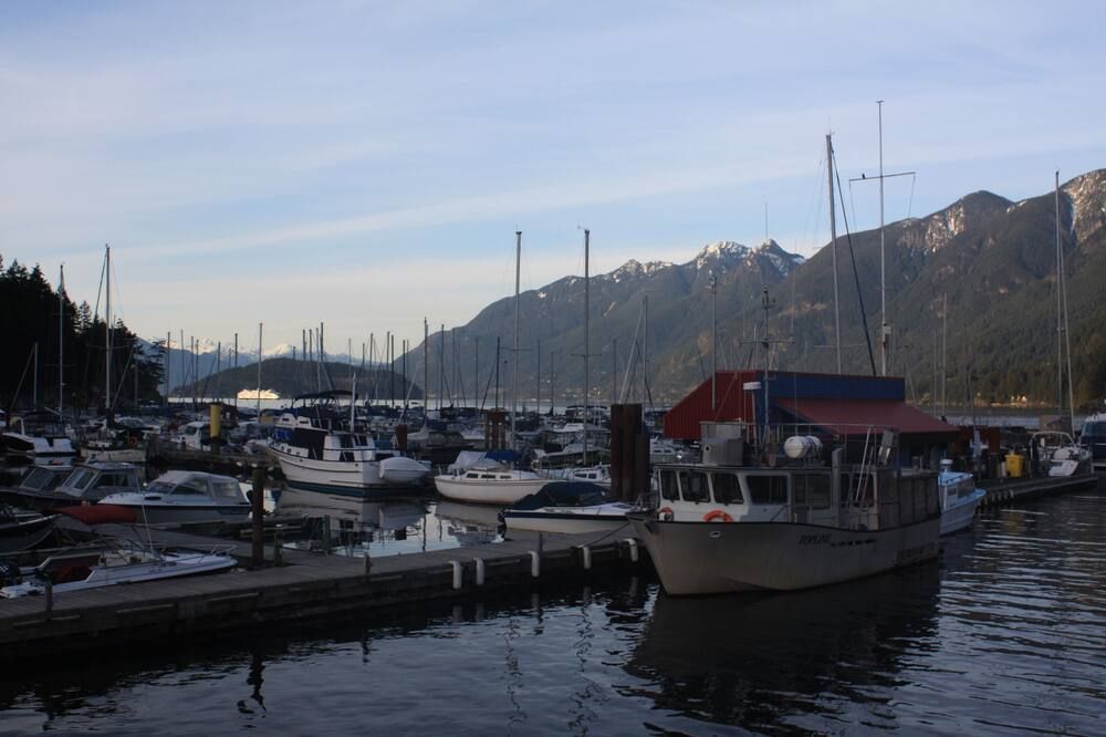 المظهر الخارجي