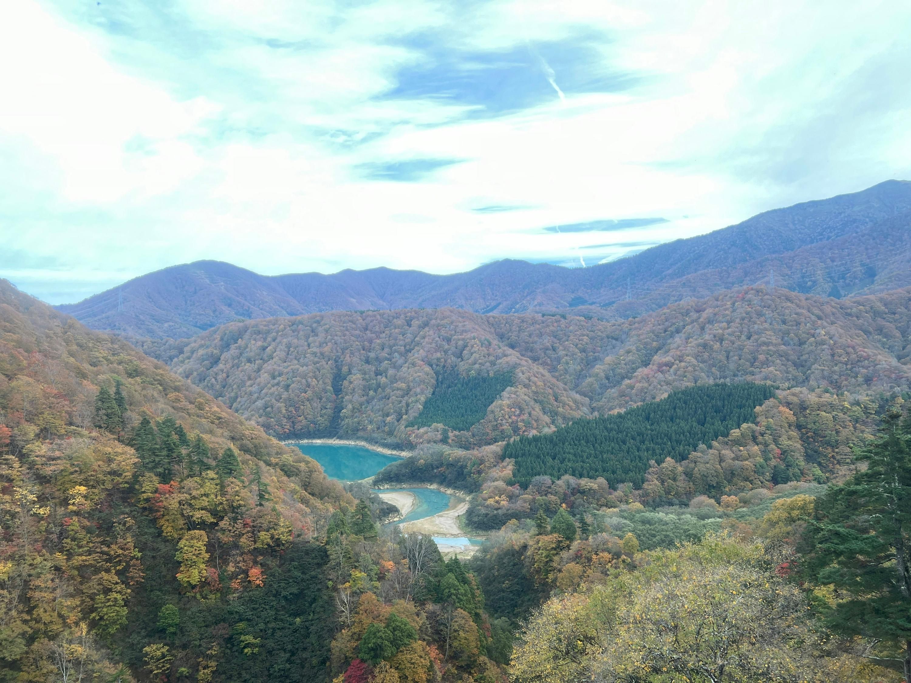 المظهر الخارجي