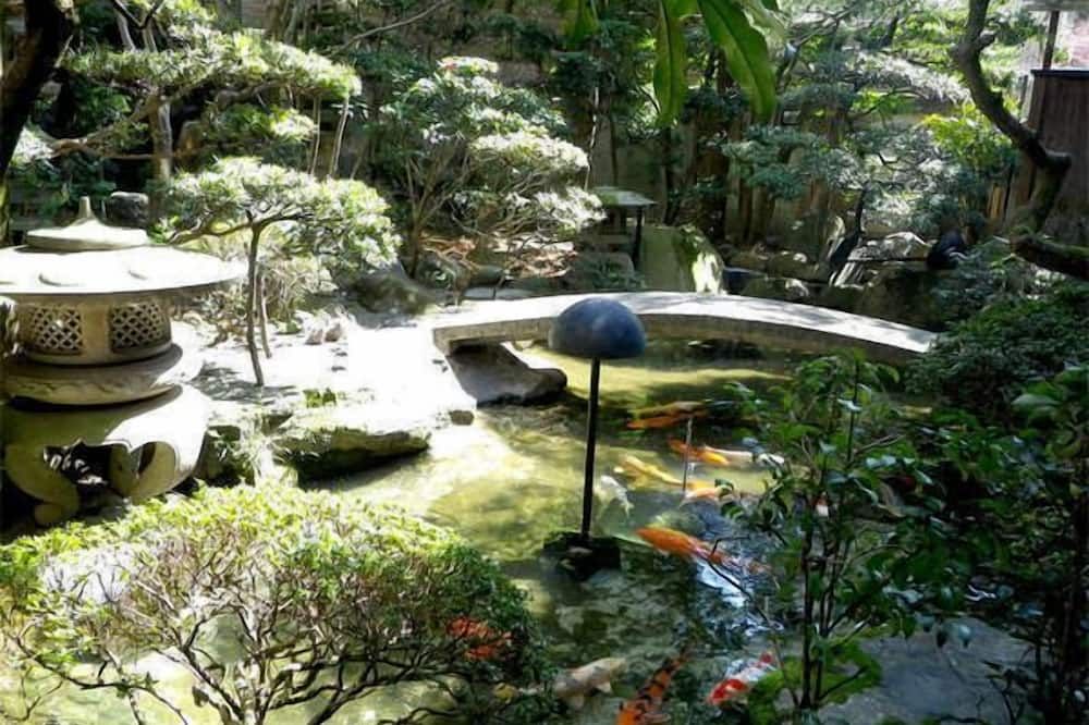 المظهر الخارجي