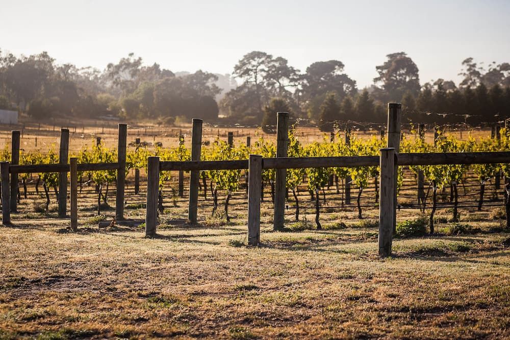 المظهر الخارجي
