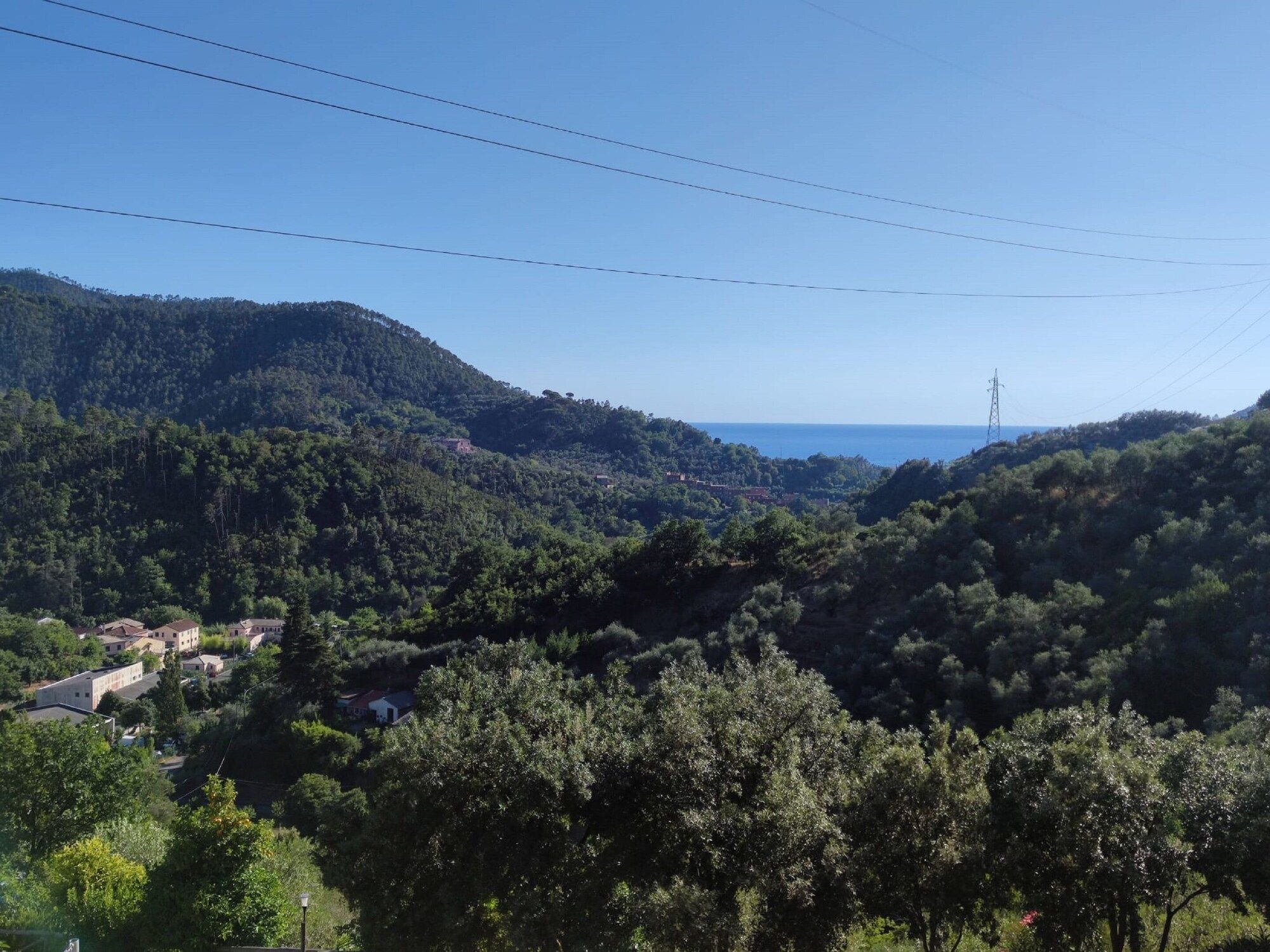 المظهر الخارجي