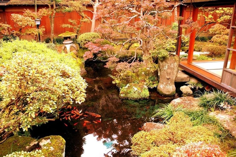 المظهر الخارجي