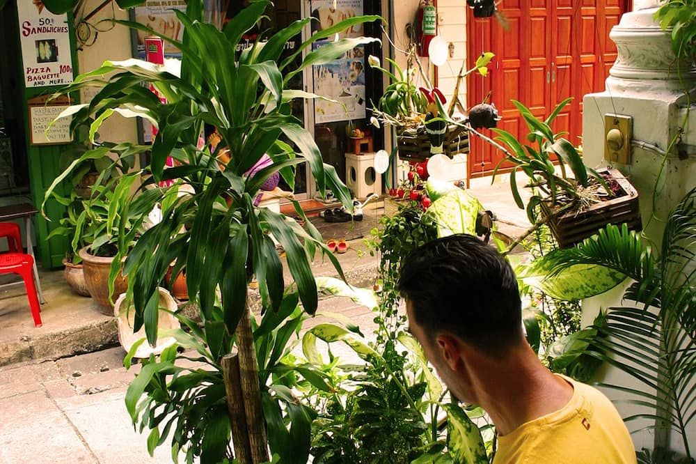 المظهر الخارجي