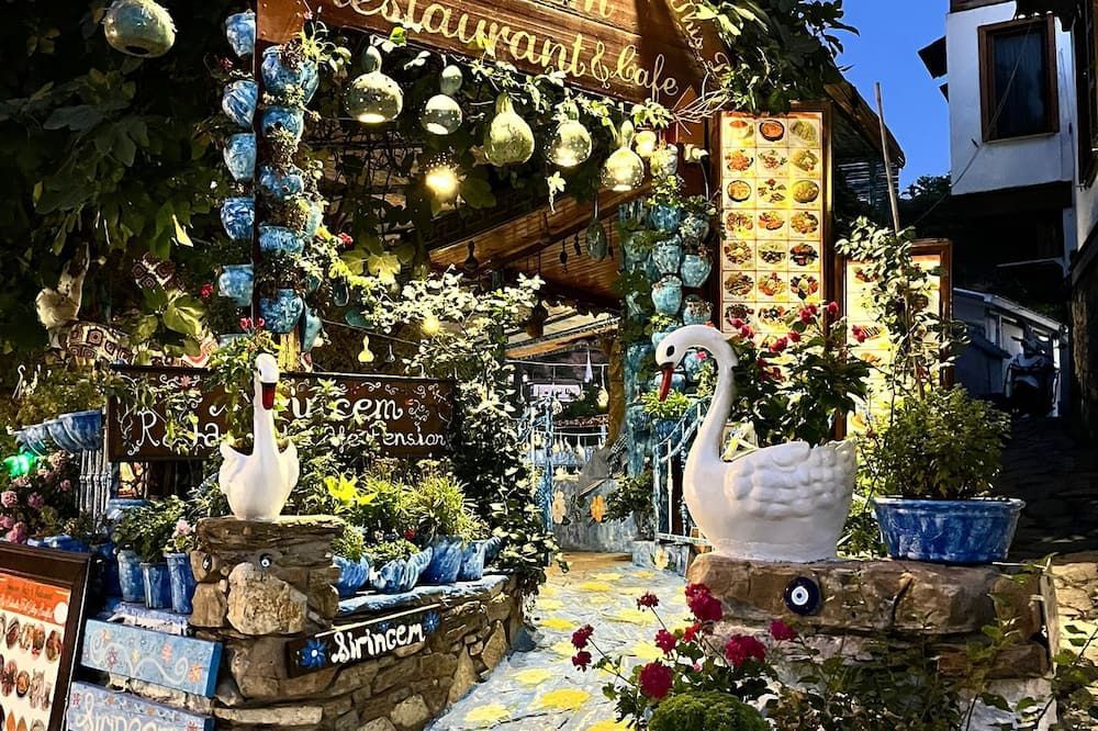 المظهر الخارجي