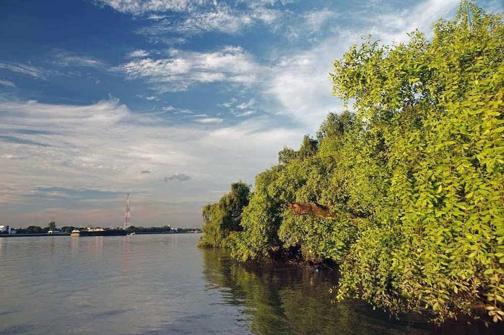 المظهر الخارجي