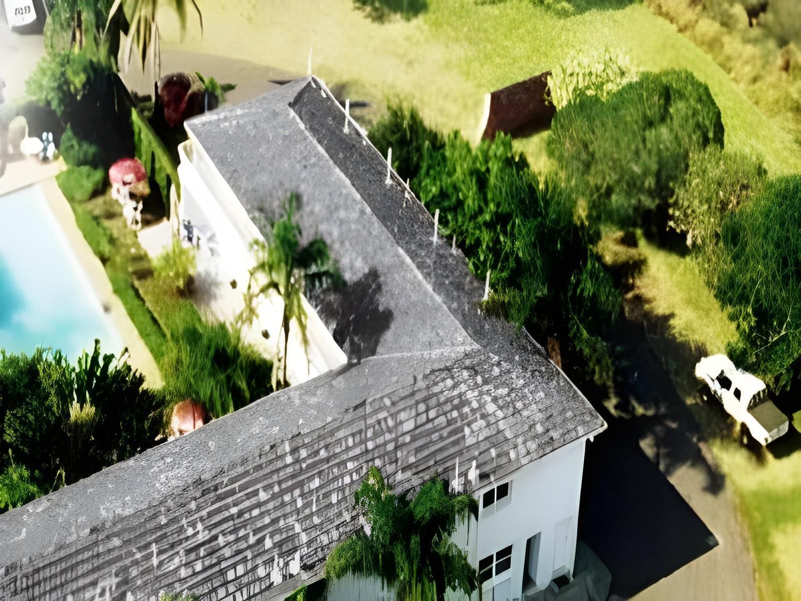 المظهر الخارجي