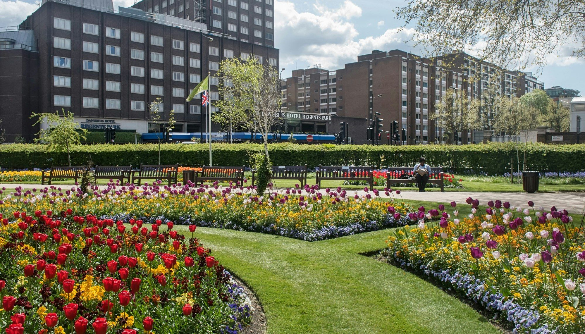 المظهر الخارجي