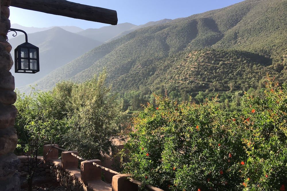 المظهر الخارجي