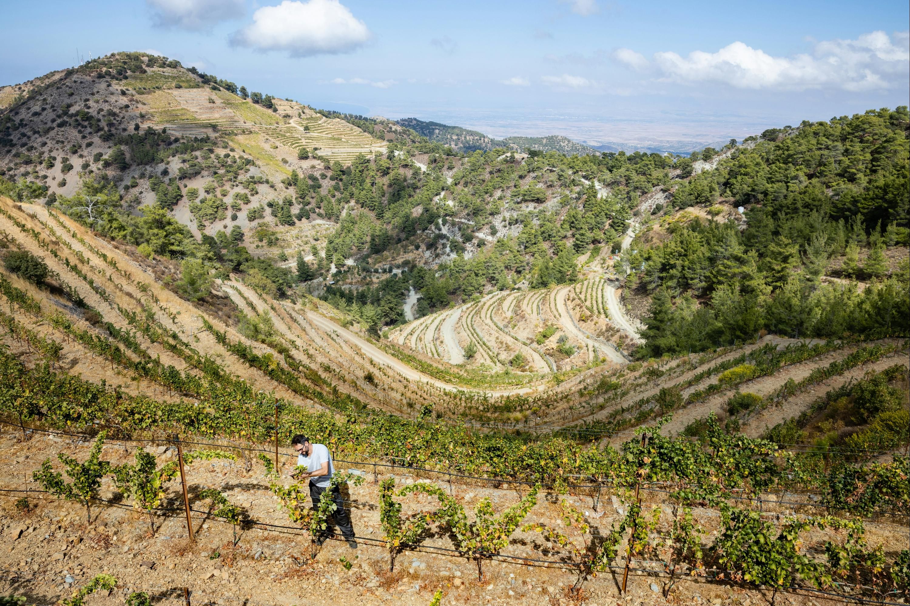 المظهر الخارجي