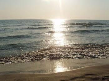 شاطئ صورة