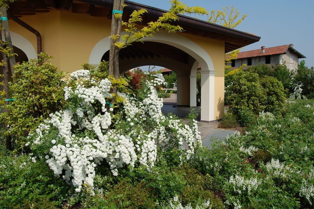 المظهر الخارجي