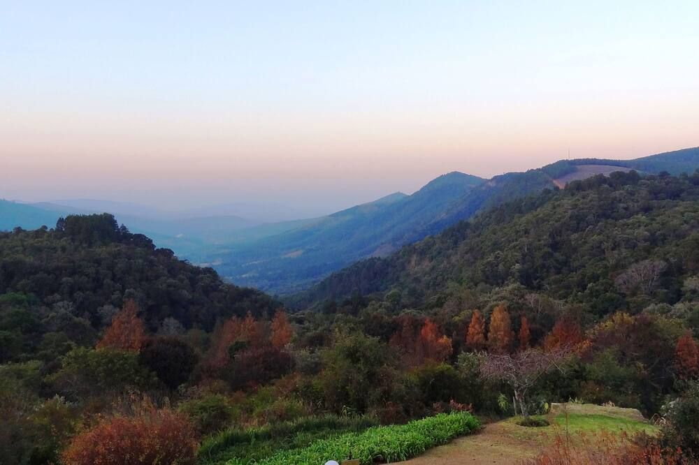 المظهر الخارجي