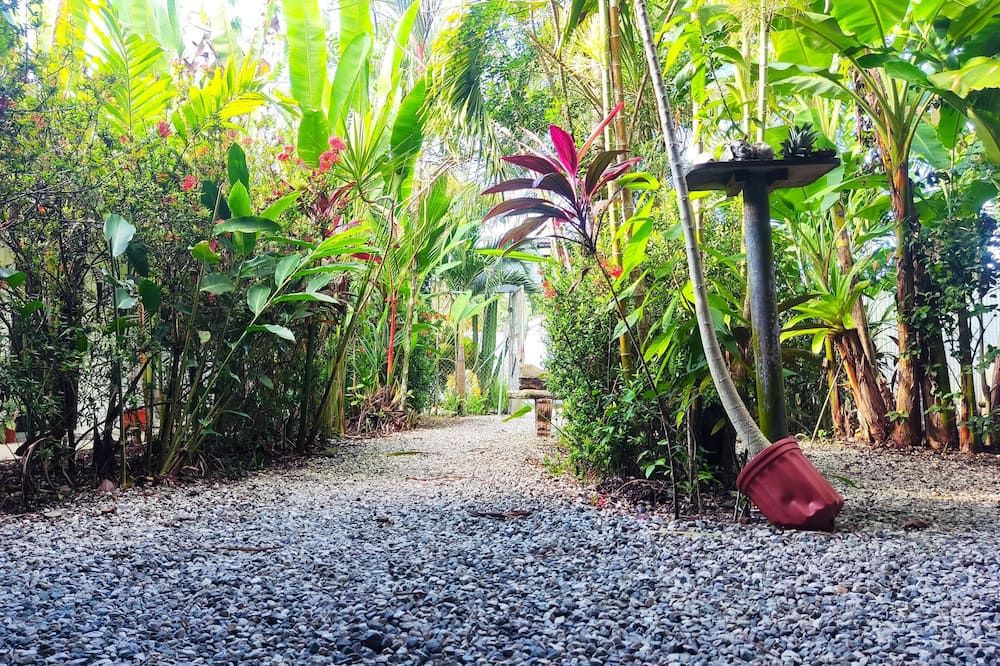 المظهر الخارجي