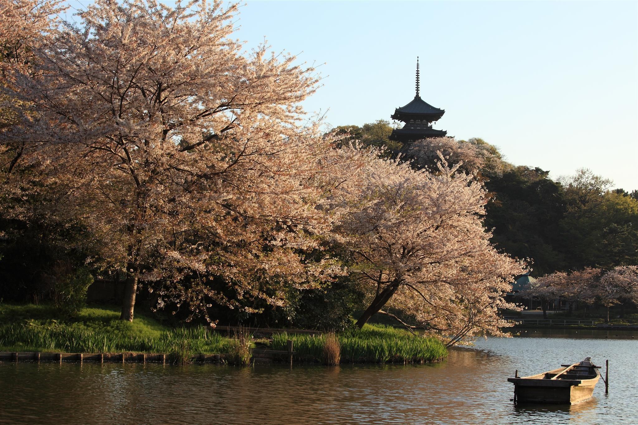 المظهر الخارجي