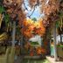 آخر