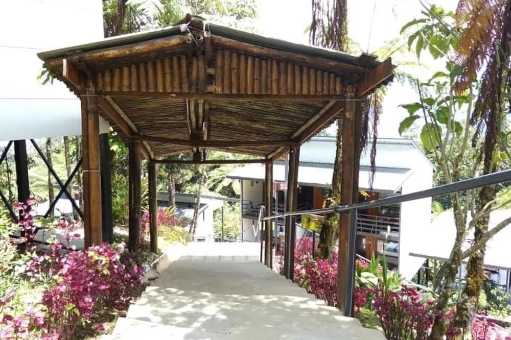 المظهر الخارجي