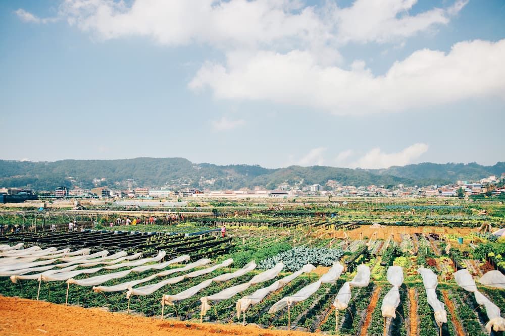 المظهر الخارجي