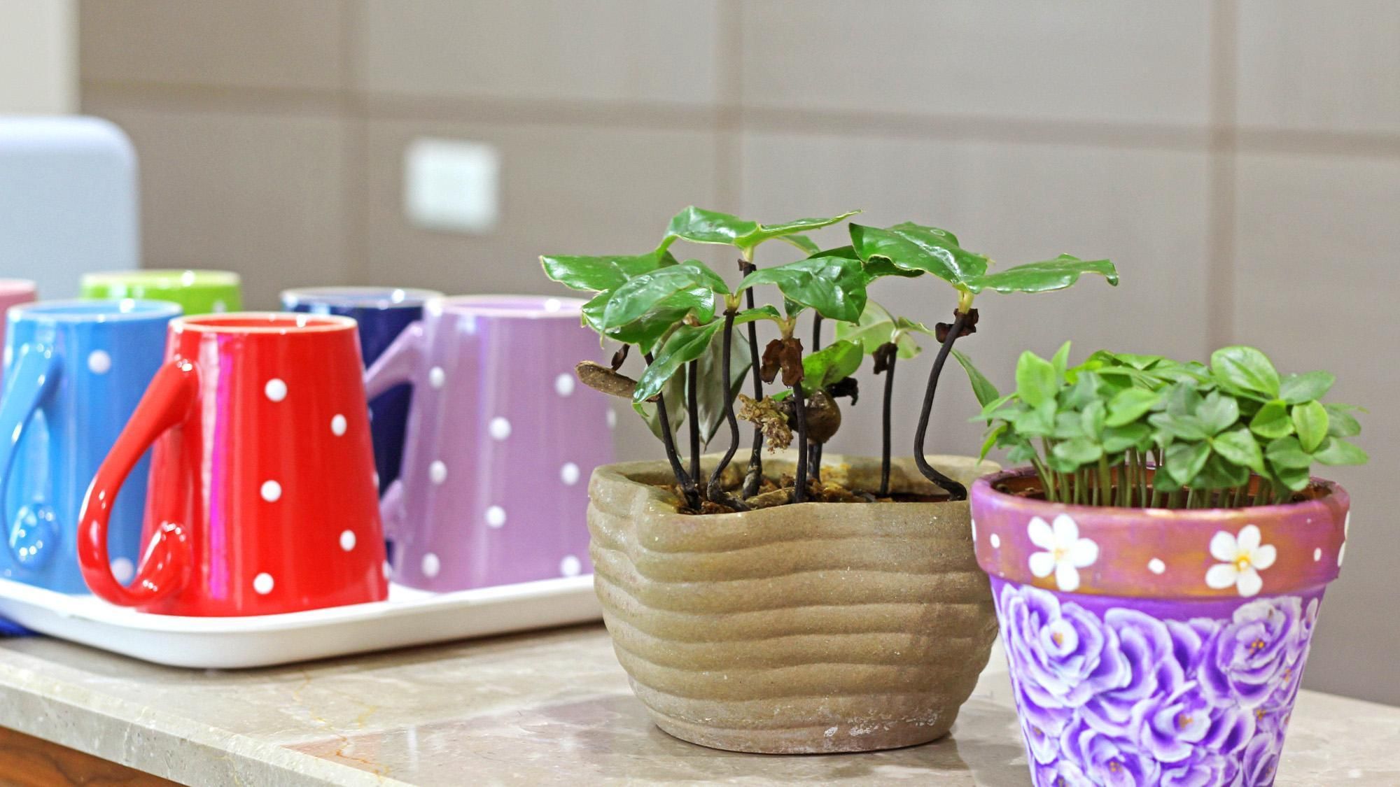 وسائل راحة في الغرف