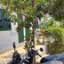 المظهر الخارجي