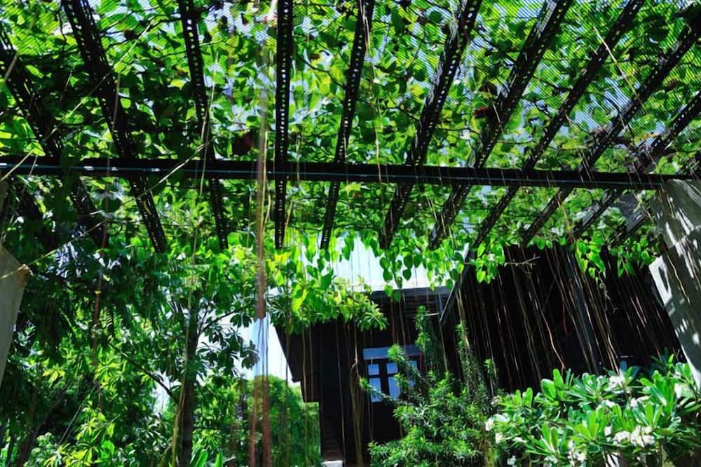 المظهر الخارجي