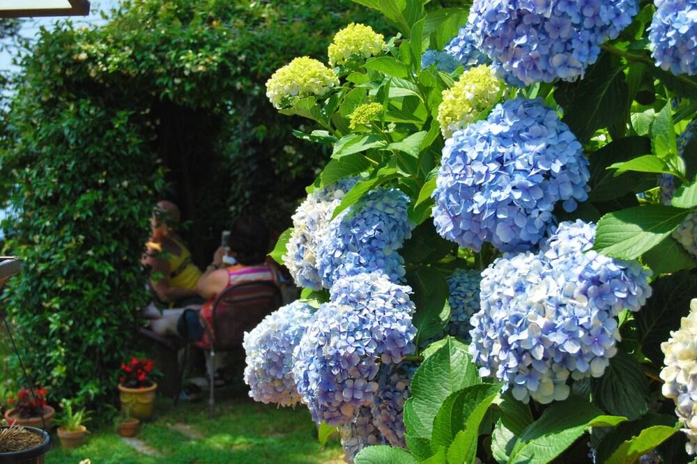 المظهر الخارجي