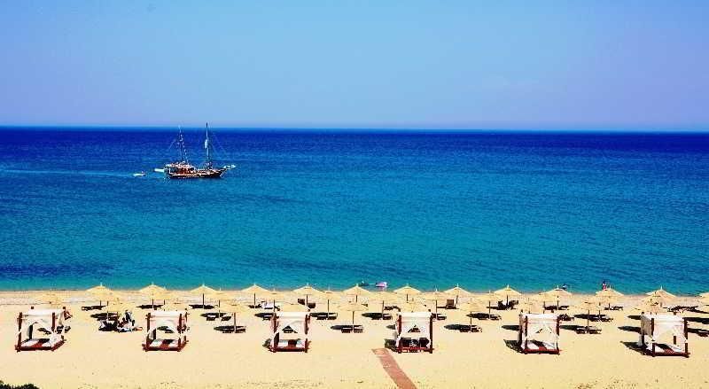 شاطئ صورة