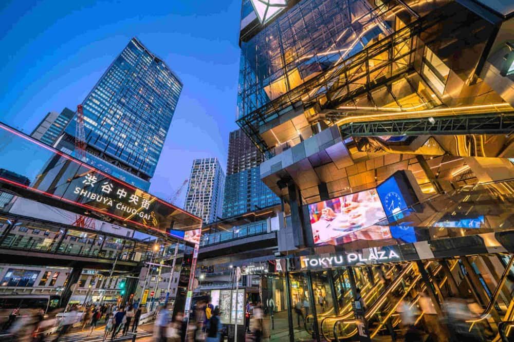 المظهر الخارجي