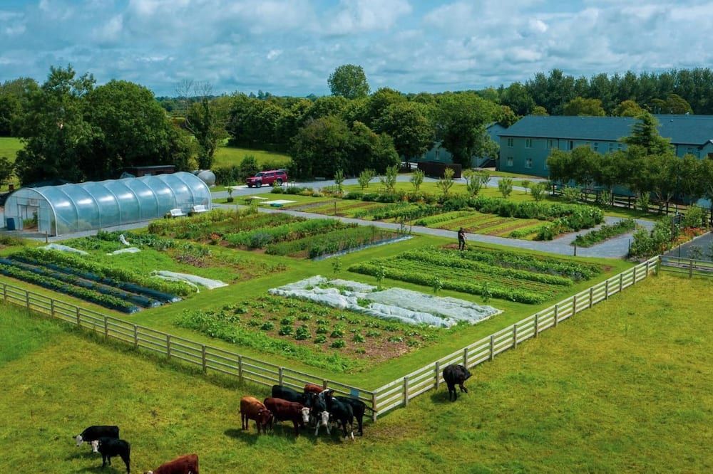 المظهر الخارجي