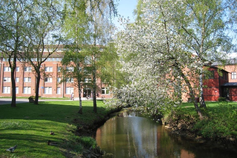 المظهر الخارجي