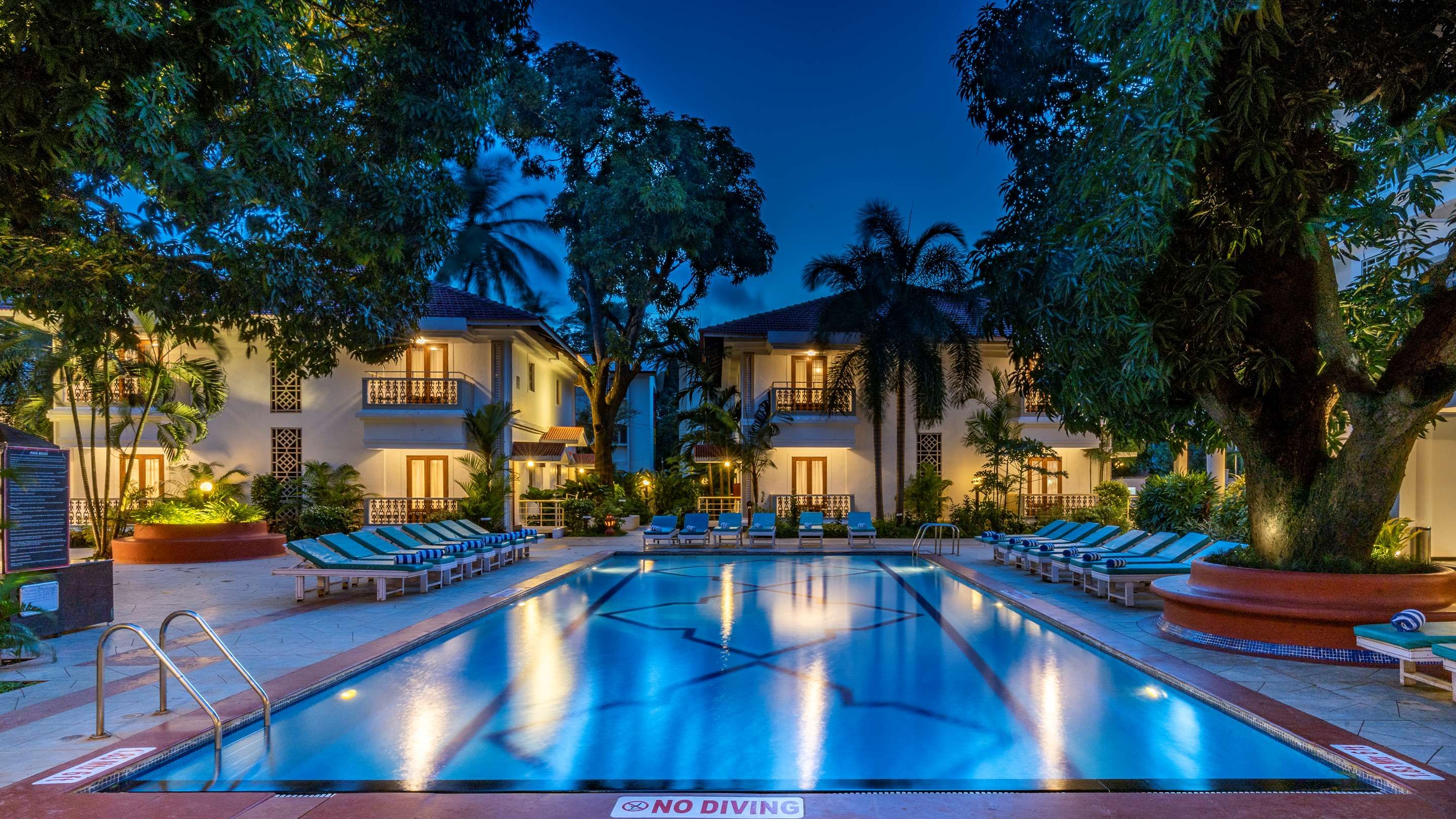 حوض السباحة صورة