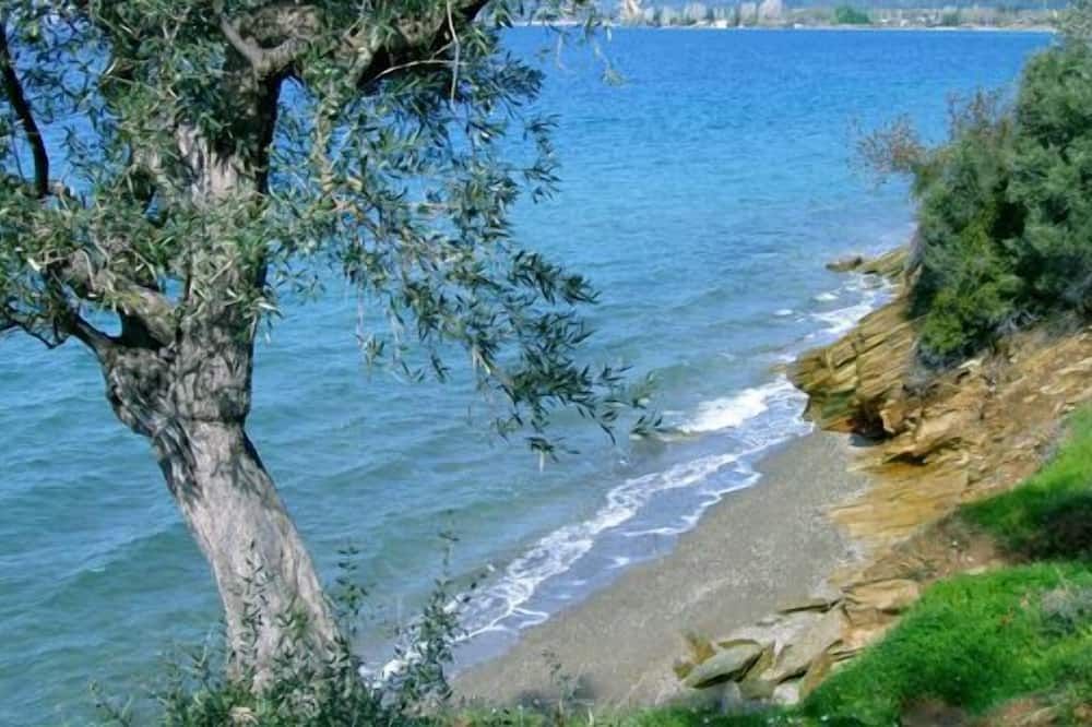 المظهر الخارجي