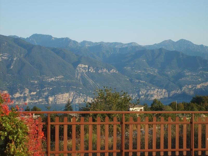 المظهر الخارجي