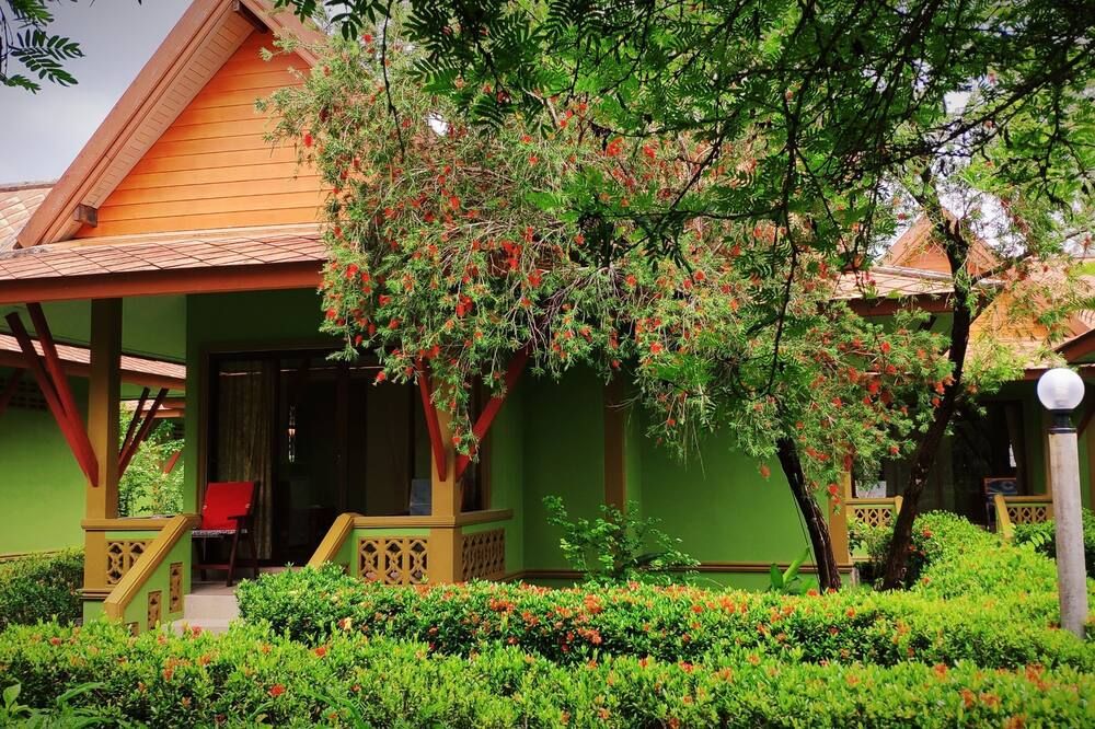 المظهر الخارجي