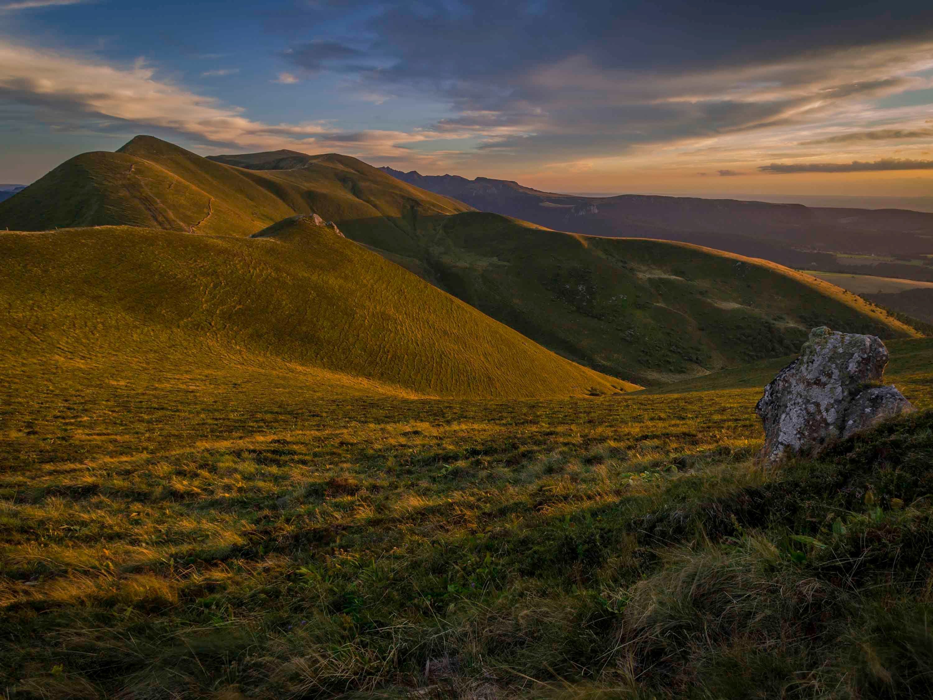المظهر الخارجي