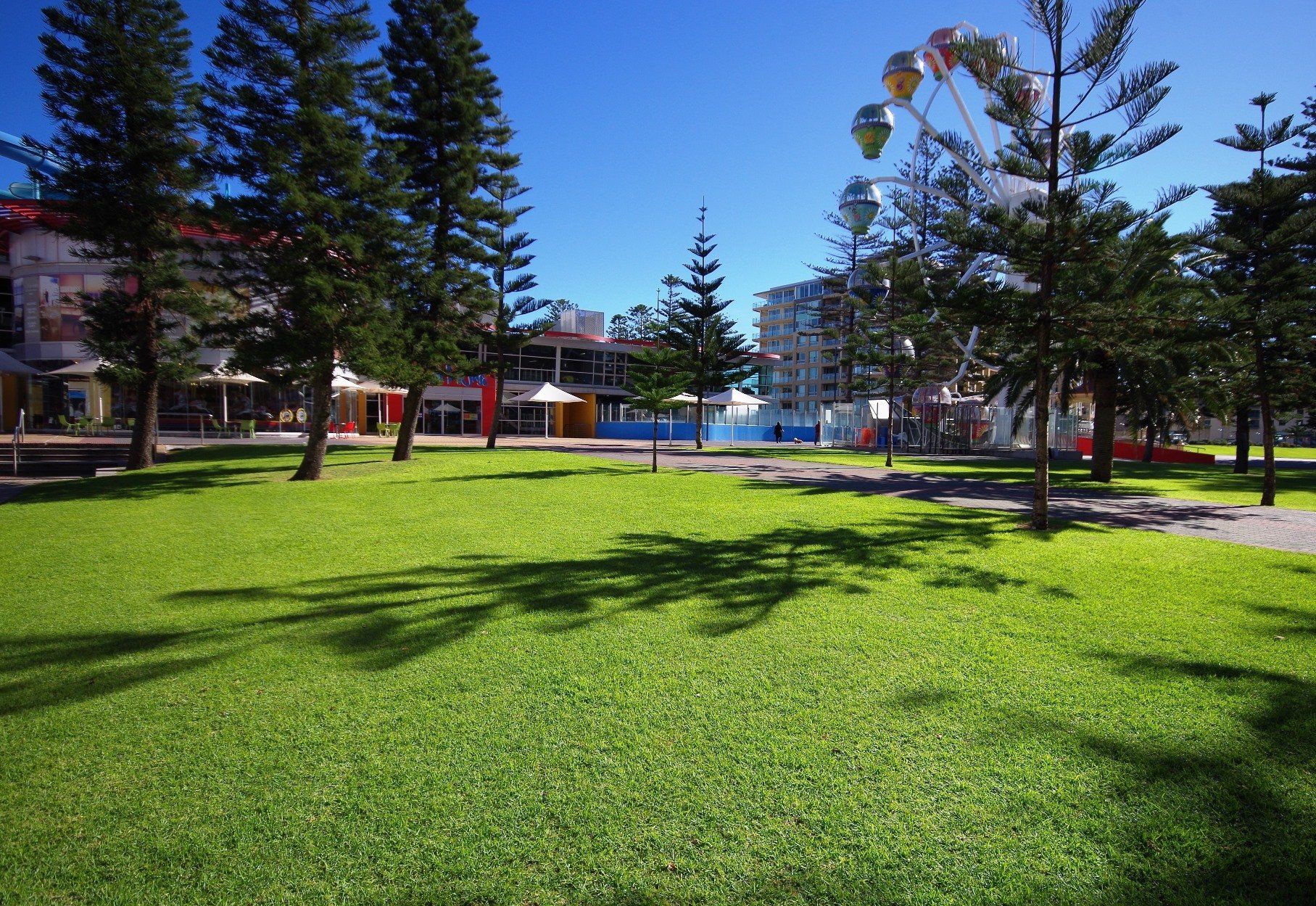 المظهر الخارجي