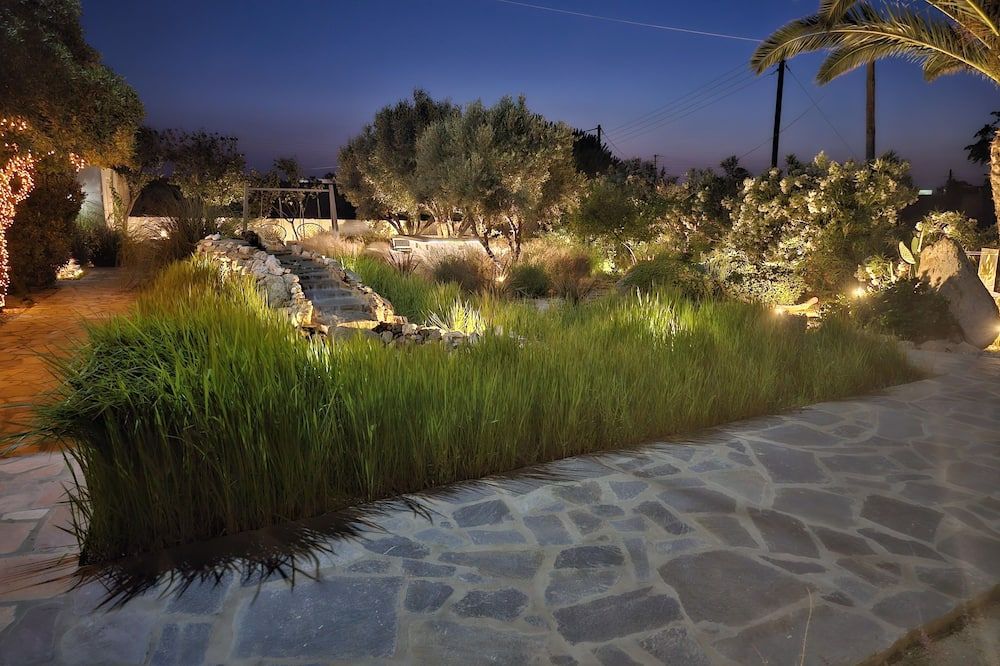 المظهر الخارجي