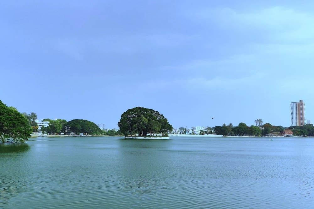 المظهر الخارجي