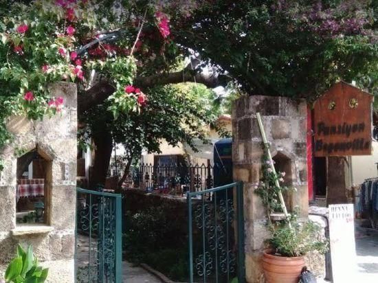 المظهر الخارجي