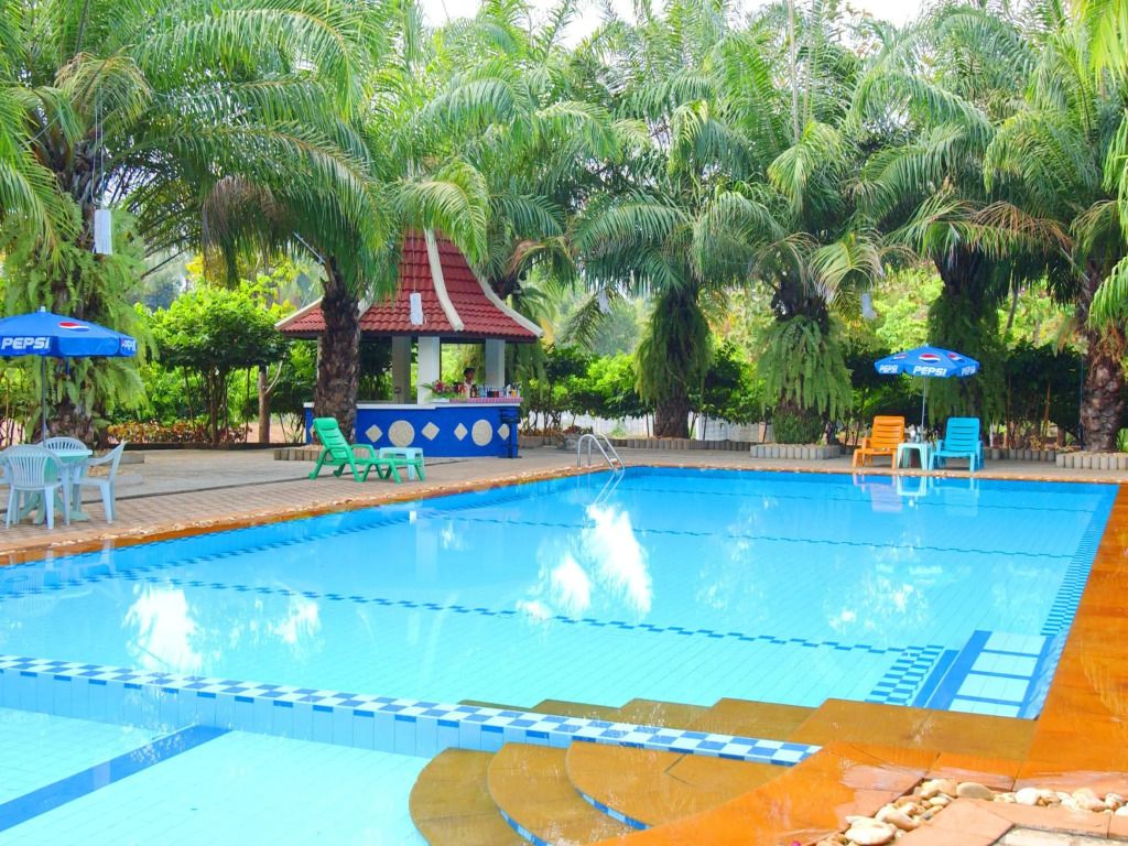 حوض السباحة