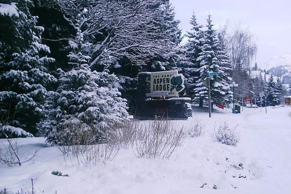 المظهر الخارجي