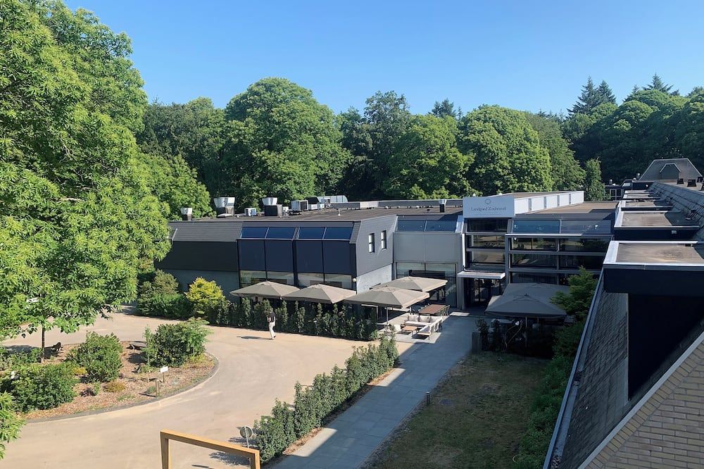 المظهر الخارجي