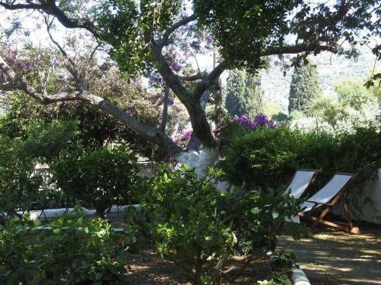 المظهر الخارجي