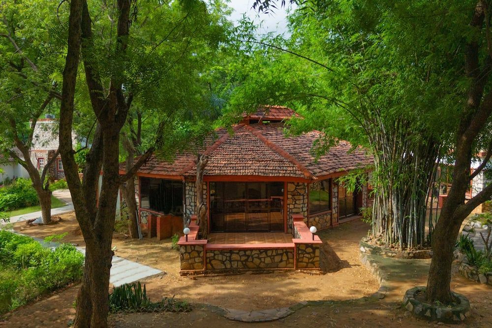 المظهر الخارجي