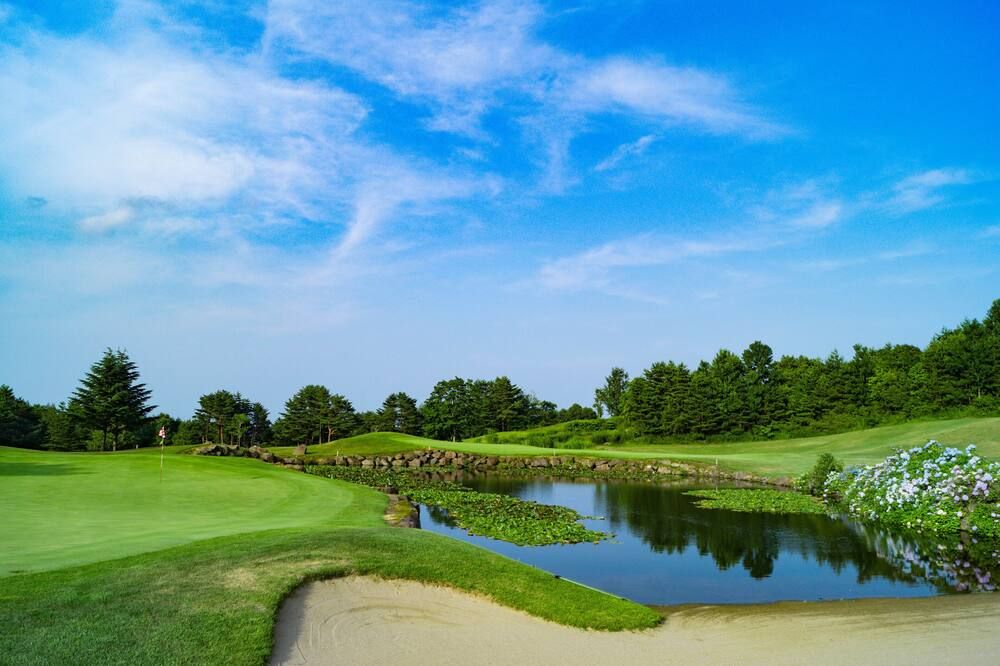 المظهر الخارجي