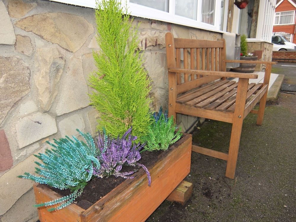 المظهر الخارجي