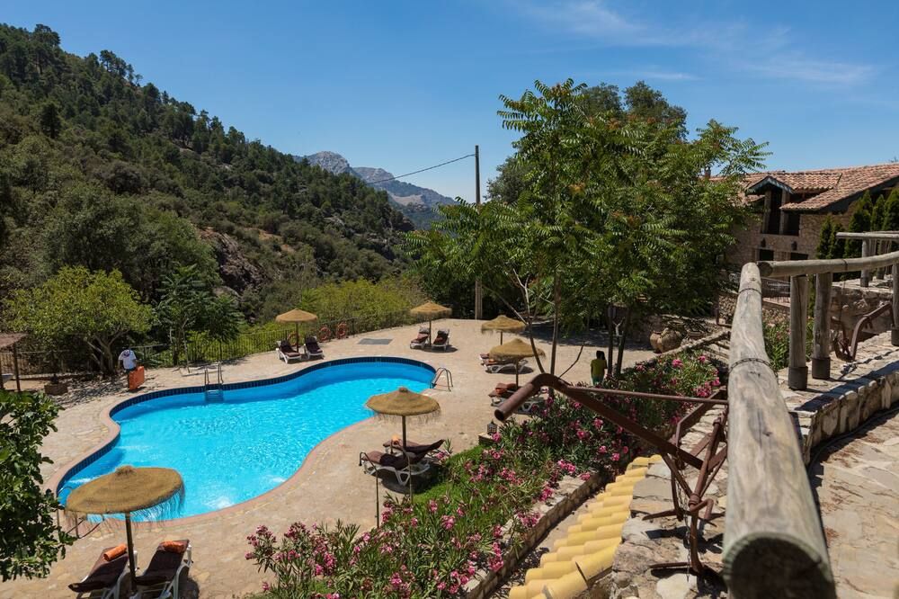 حوض السباحة