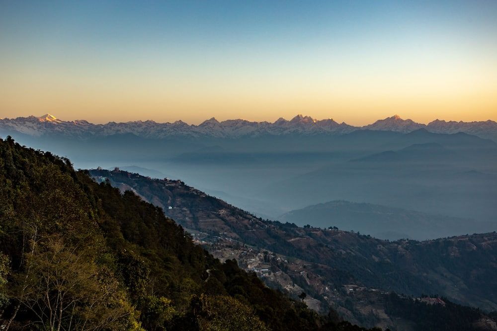 المظهر الخارجي