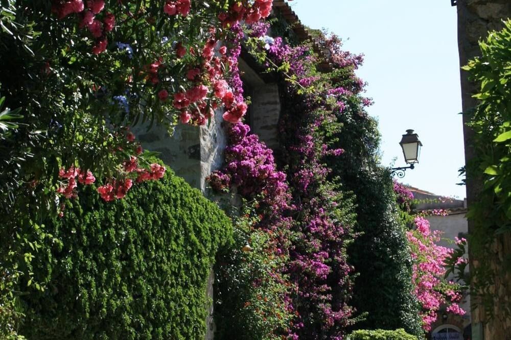 المظهر الخارجي